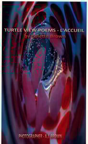 Turtle View Poems: L