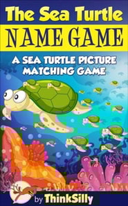 Sea Turtle Name Game!