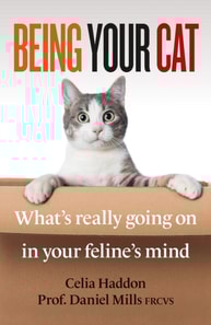 Being Your Cat
