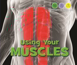 Using Your Muscles