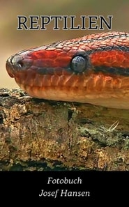 Reptilien