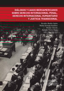 Diálogos y casos iberoamericanos sobre derecho internacional penal, derecho internacional humanitario y justicia transicional