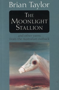 Moonlight Stallion