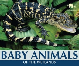 Baby Animals of the Wetlands