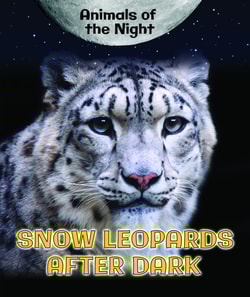 Snow Leopards After Dark
