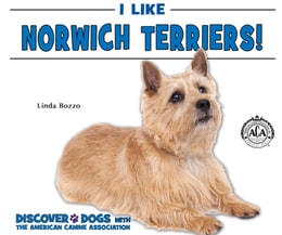 I Like Norwich Terriers!