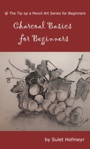 Charcoal Basics for Beginners