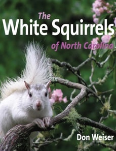 White Squirrels of North Carolina