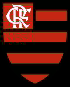 Flamengo - A História 