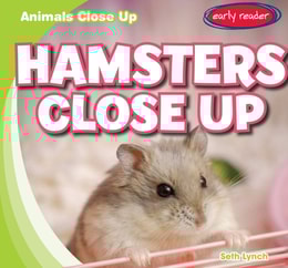 Hamsters Close Up
