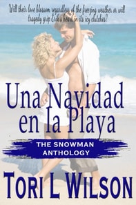 Una Navidad en la Playa
