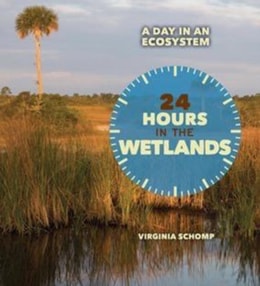 24 Hours in the Wetlands
