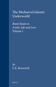 Mediaeval Islamic Underworld