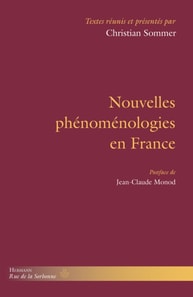 Nouvelles phénoménologies en France