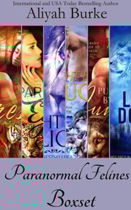 Paranormal Felines Boxset