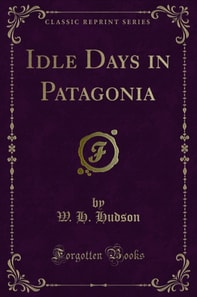 Idle Days in Patagonia