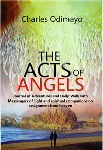 Acts of Angels