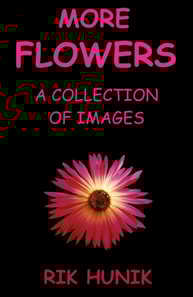 More Flowers: A Collection Of Images