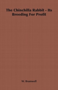 Chinchilla Rabbit - Its Breeding For Profit