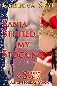 Santa Stuffed My Stocking