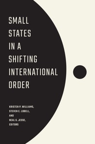 Small States in a Shifting International Order