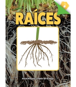 Raices