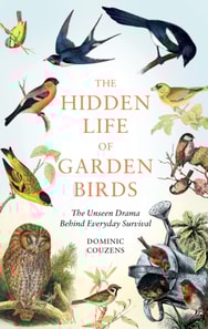 Hidden Life of Garden Birds
