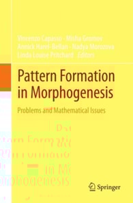 Pattern Formation in Morphogenesis
