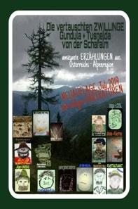 die vertauschten ZWILLINGE