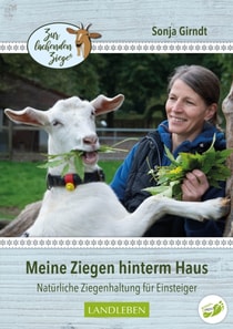 Meine Ziegen hinterm Haus
