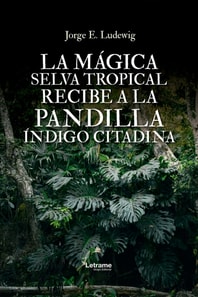 La magica selva tropical recibe a la pandilla indigo citadina