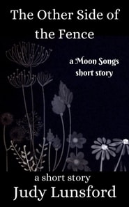 Other Side of the Fence