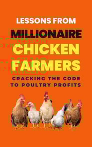 Lessons From Millionaire Chicken Farmers: Cracking The Code To Poultry Profits