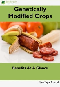 Genetically Modified Crops