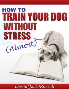 How To Train Your Dog Without Stress (Almost)