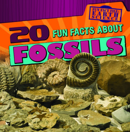 20 Fun Facts About Fossils