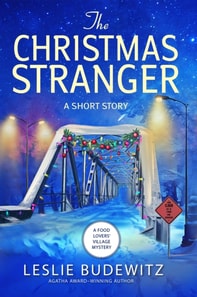 Christmas Stranger: A Short Story