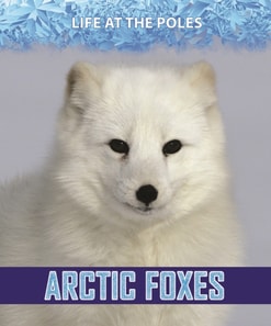 Arctic Foxes