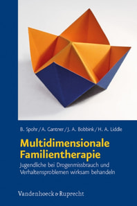 Multidimensionale Familientherapie