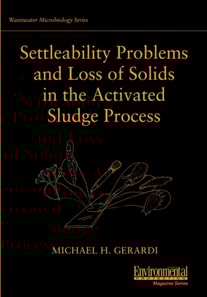 Settleability Problems and Loss of Solids in the Activated Sludge Process