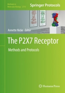 P2X7 Receptor