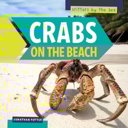 Crabs on the Beach