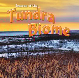 Seasons Of The Tundra Biome