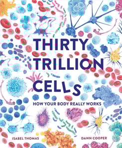 Thirty Trillion Cells
