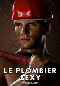 Le Plombier Sexy