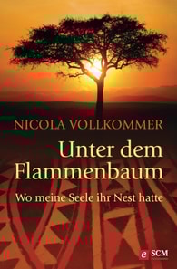 Unter dem Flammenbaum