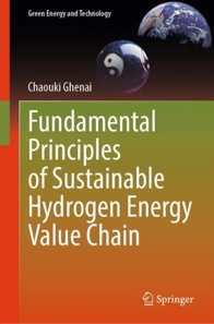Fundamental Principles of Sustainable Hydrogen Energy Value Chain