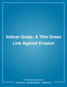Vetiver Grass