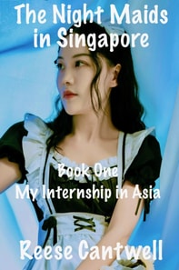 Night Maids in Singapore: Book One: My Internship in Asia