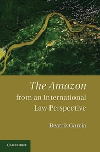 Amazon from an International Law Perspective
